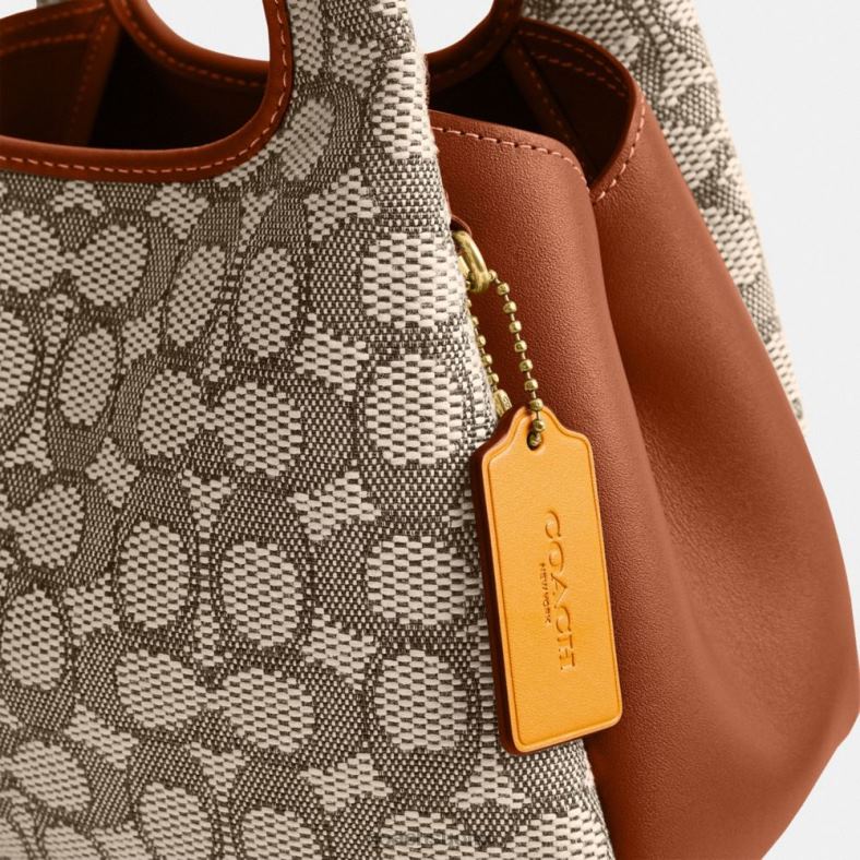 Coach naiset lana olkalaukku 23 tunnusomaista jakardia b4/kaakaokiillotettu amb VF6B6272